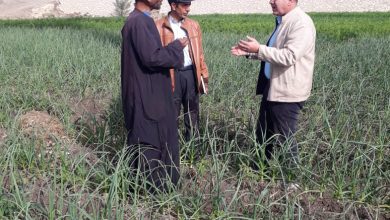 92658c31 Ec51 442e B531 3adc2816aa06