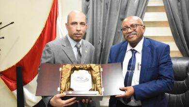 A8e5e112 98e0 47b4 B7dd 2befdbfc4f55