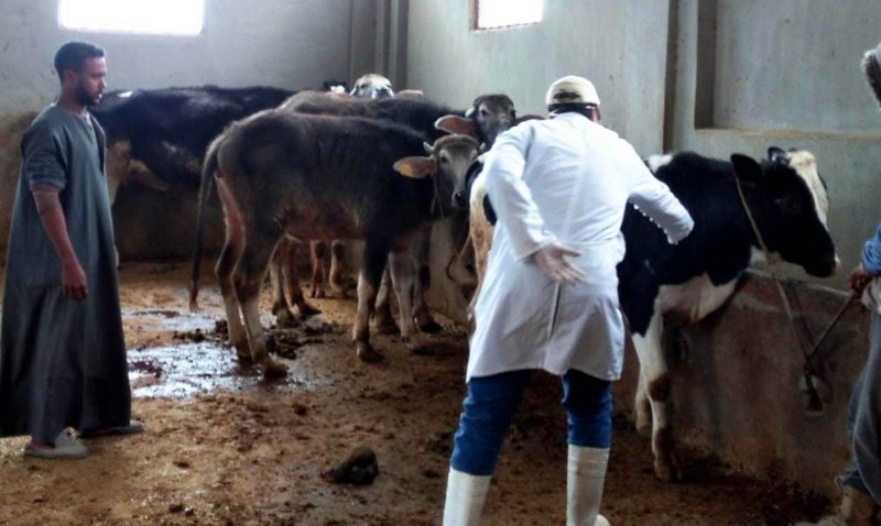 Bc0eaec9 1153 4b35 Bcf0 A8db2e13ca2a