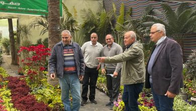 1a1fe54b F6c1 4684 9a8b 88ed0612d44a