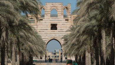 General Shoot, October 2017, Auc New Cairo Campus, Auc Portal