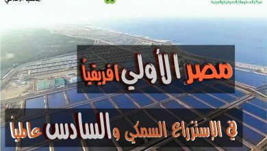 68fab642 A011 4b38 92b0 Ffc4eeac27b1