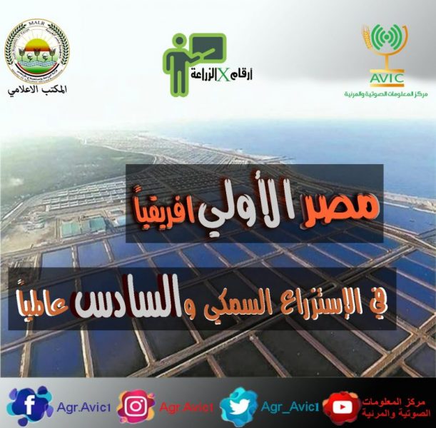 68fab642 A011 4b38 92b0 Ffc4eeac27b1