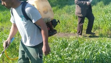 7c645cc1 79e4 4092 B8ea F7bfafd51852