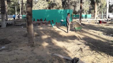 87cd0b41 89e6 4a84 B009 C791161f6c67