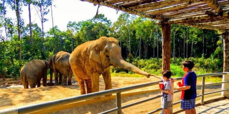 94d3e2dd F4f4 478f 95c4 7c2ebbbd69ed