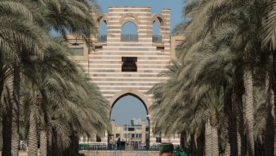 General Shoot, October 2017, Auc New Cairo Campus, Auc Portal