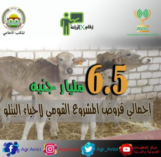 A647ee4f Fc62 49ce B48c F70b27d51f18