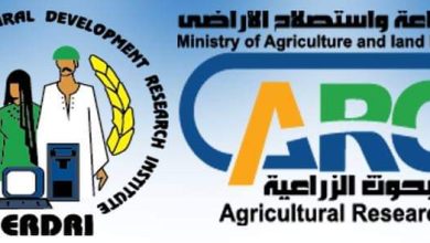 F4337e74 6f5e 4fbe 9363 0871160e9cf0