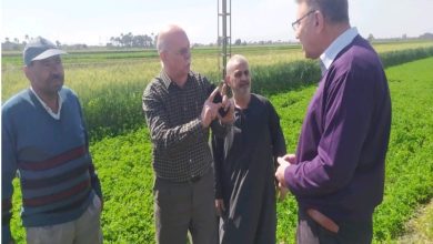 0f56d99c 4c2a 4567 Af7d B74fb5d0721a