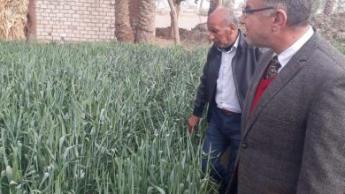 Adfce885 2a97 4715 9079 6de5f0ded9f8