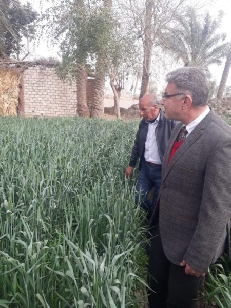 Adfce885 2a97 4715 9079 6de5f0ded9f8