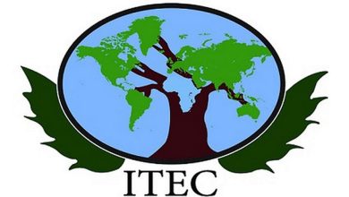 Dc2cb02a 250a 4294 A733 D9a52188f636