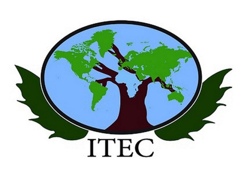 Dc2cb02a 250a 4294 A733 D9a52188f636