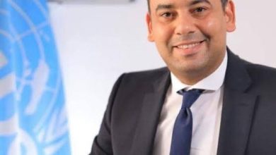 احمد رزق نائب ممثل منظمة الأمم المتحدة للتنمية الصناعية اليونيدو