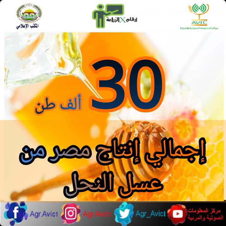 271c8192 8e23 4019 A09d 71faef9125bf