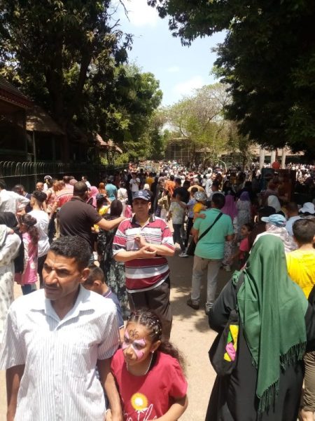 3d31f722 7df6 4789 B042 5c24db347ea6