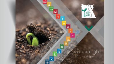 4e46f7d3 76a3 47b1 8696 8c98556c191c