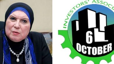 650f80d3 99a9 4281 B36d B861647d7c3d