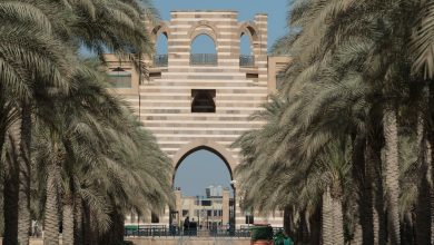 General Shoot, October 2017, Auc New Cairo Campus, Auc Portal