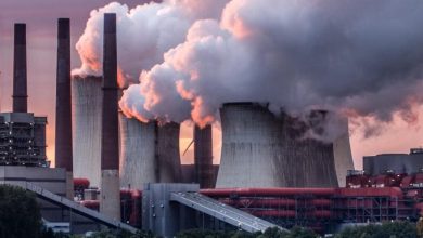 Carbon231120 Carbon231120 Image