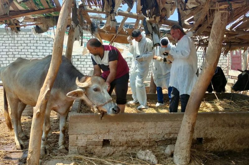 4fd9186f E084 4965 B297 98de220ee9d3