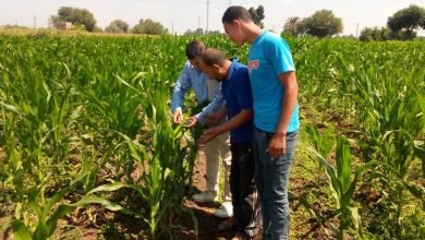 52f47a0b 37c5 4c1c 98cc 172b30b7d7cf