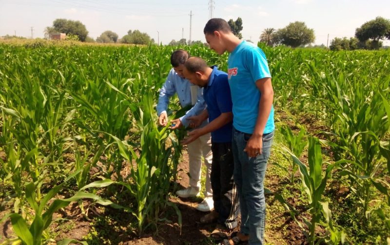 52f47a0b 37c5 4c1c 98cc 172b30b7d7cf