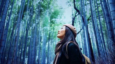 A Woman Walking Through A Remote Forest