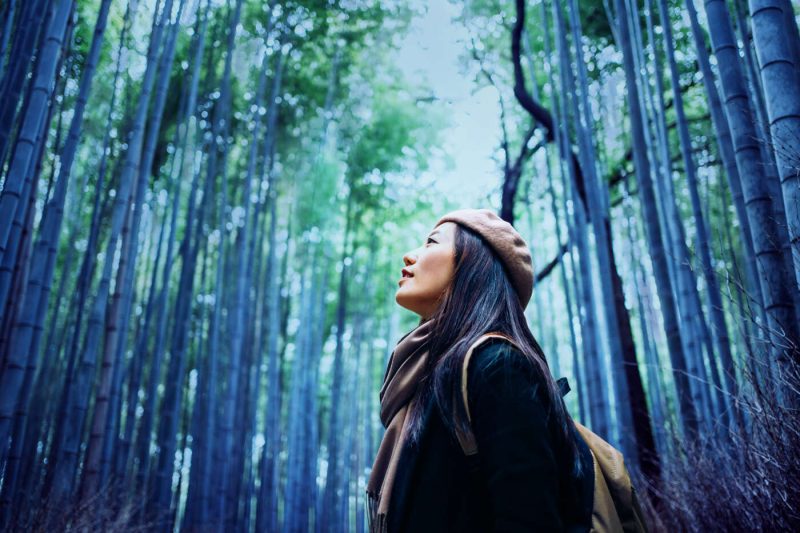 A Woman Walking Through A Remote Forest