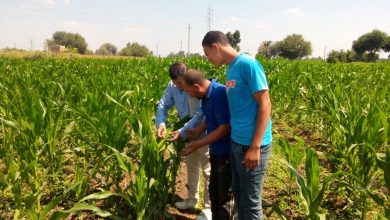 A4aca341 403a 48eb B4b8 6ab11d7d7fb5