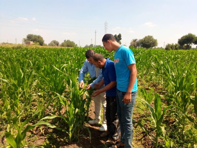 A4aca341 403a 48eb B4b8 6ab11d7d7fb5