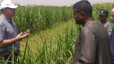 5b5539e8 Fb4e 4318 Ba2d 331918c89b42