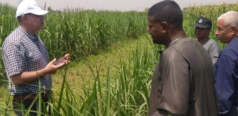 5b5539e8 Fb4e 4318 Ba2d 331918c89b42