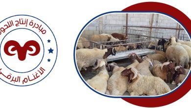 Ae041eb7 216c 4e37 9db4 D69a9c1bbe96