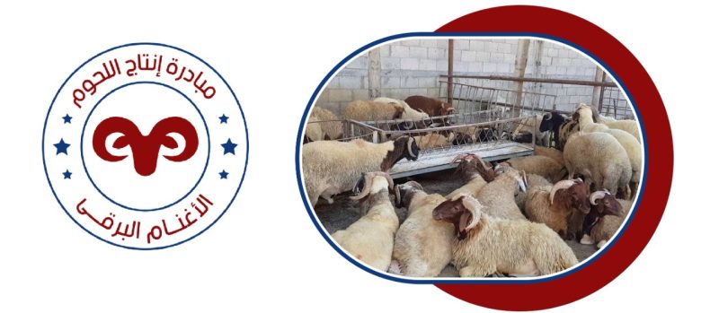 Ae041eb7 216c 4e37 9db4 D69a9c1bbe96