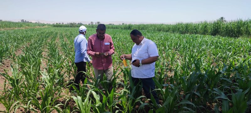 E4b80170 13e9 4650 99f1 1705fbc495be