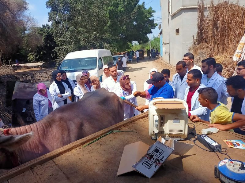 1daa8748 70be 4c24 82a8 7a9e329a3163