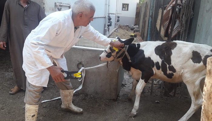 43c6c740 6567 43c6 832d 4de358b5de6c