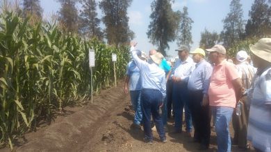 7cc9caeb Be36 48c4 Aba4 C3461ec5cb0b