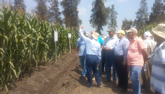 7cc9caeb Be36 48c4 Aba4 C3461ec5cb0b