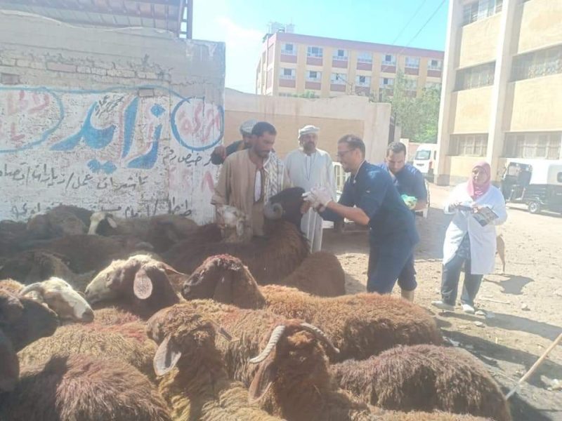 80caace4 Bb09 4cf9 95d6 45510c6c8167