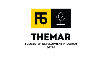 Finance In Motion Themar Logo En