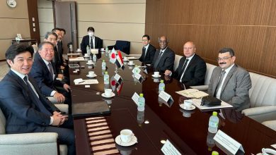 كامل الوزير