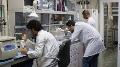 367e86aa 38b9 4ea9 Aa27 Fe1bd4d620ca