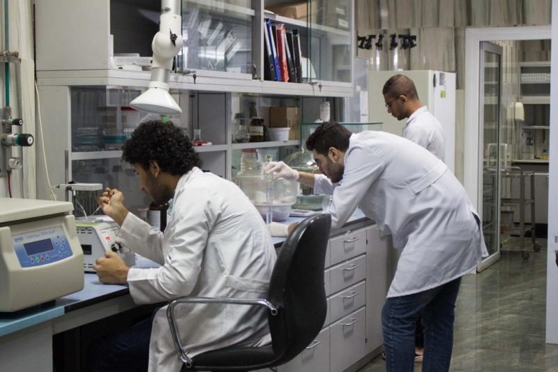 367e86aa 38b9 4ea9 Aa27 Fe1bd4d620ca