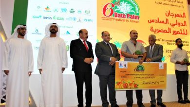 381eca84 6878 455f A0f5 4e0754059276