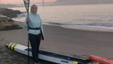 4d8374b3 50ef 47b8 Bf15 51c402a78e71