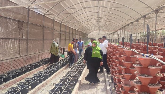 6443df1f D914 47fe A5a0 B8b0d987c4ca