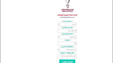 1669742208394 مواقع عمل زائفة